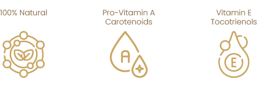 DavosLife Pure Red Palm Oil is natural and contains Vitamin A Carotenoids and Vitamin E Tocotrienols.