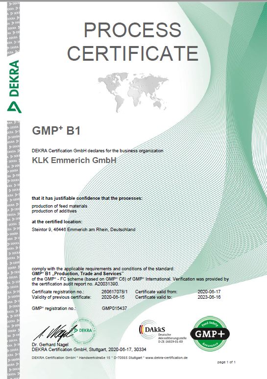 EMM 1. Reihe 3. ENGLISCH – GMP B1 – Zertifikat GMP B1 engl.PDF – Adobe Acrobat R