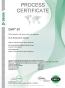 GMP B1
