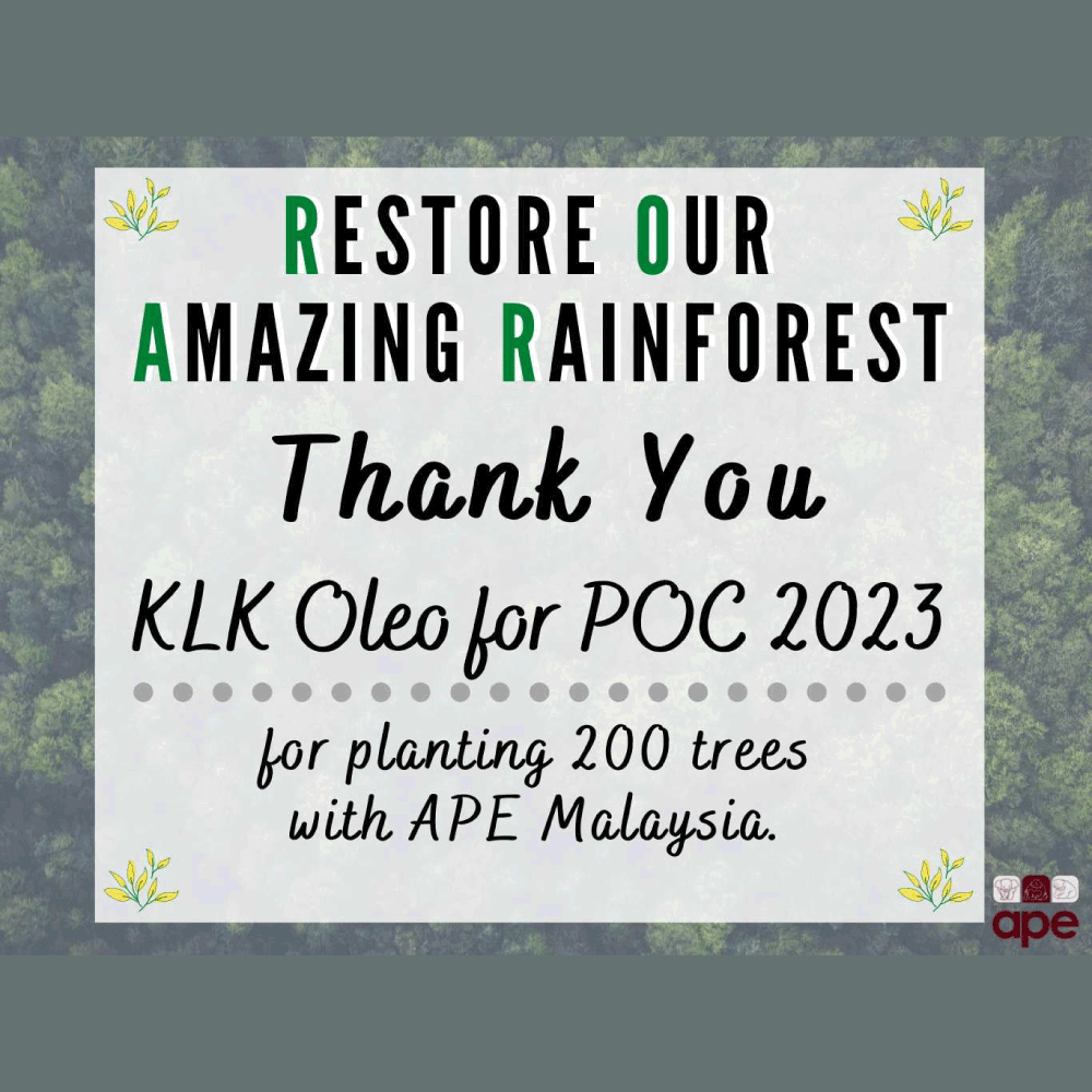 KLK OLEO Planted 200 Trees at Lower Kinabatangan Wildlife Sanctuary